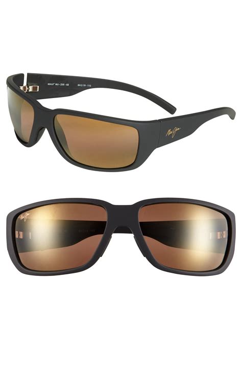 PolarizedPlus2® Sunglasses .